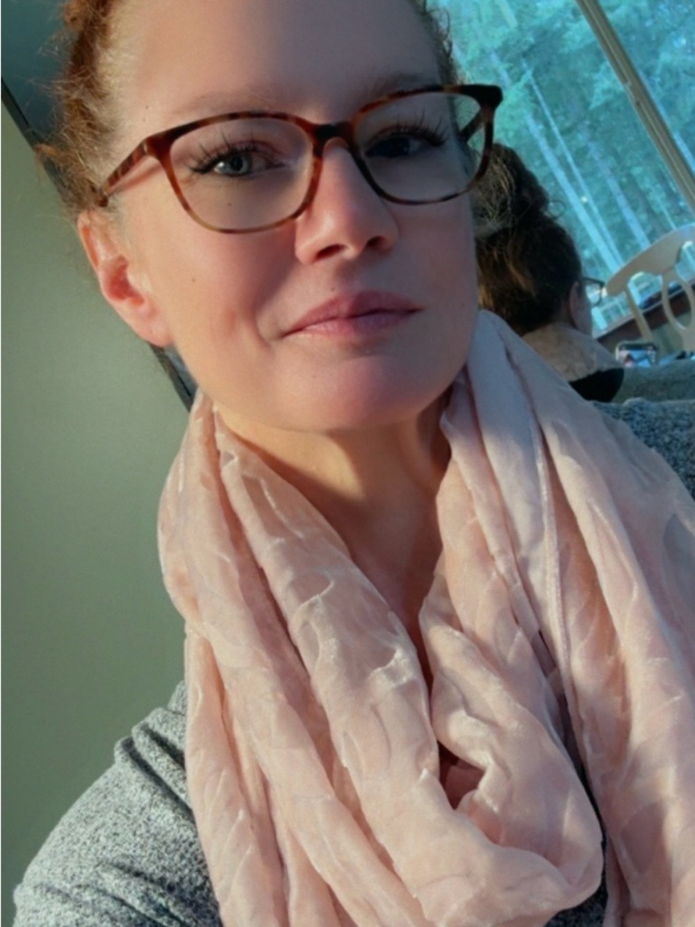 RSVP Light Pink Floral Velvet Cut Out Sheer Scarf Wrap 69x21 NWT